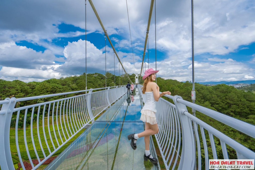 Khám phá Cầu kính Ngàn Thông 7D Đà Lạt