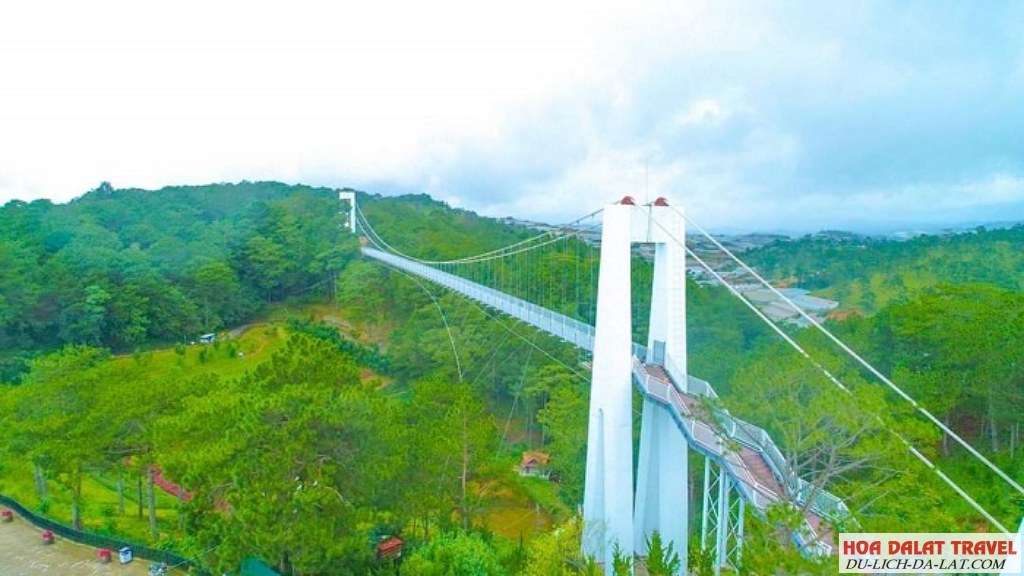 Ngắm toàn cảnh Đà Lạt từ đỉnh cao của Cầu kính Ngàn Thông