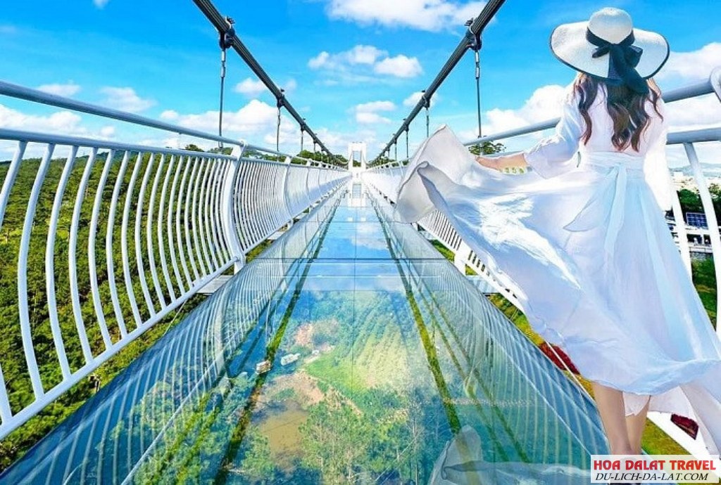 Những lưu ý quan trọng khi khám phá Cầu kính Ngàn Thông Đà Lạt