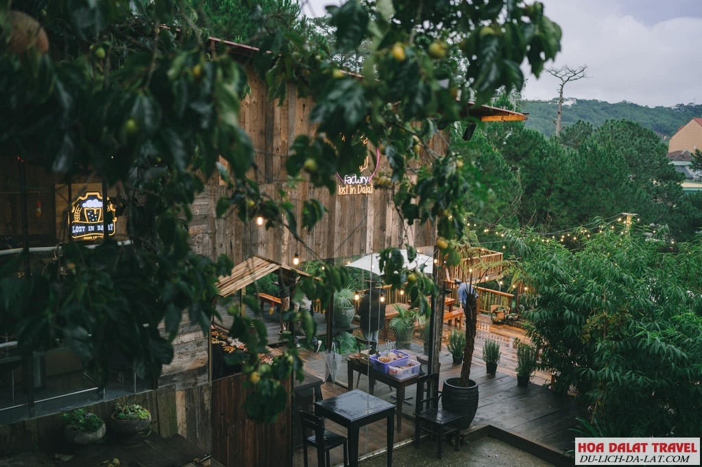 Review Craft Beer - Lost in Dalat