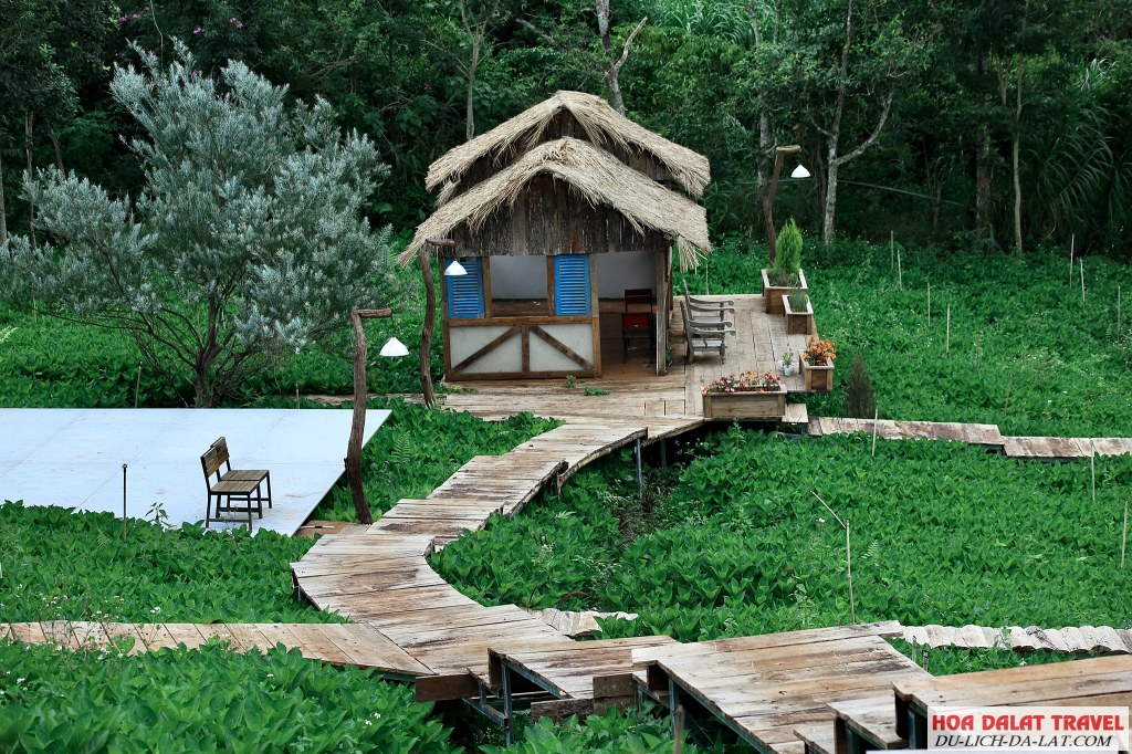 Thông tin liên hệ Donkihote valley Đà Lạt