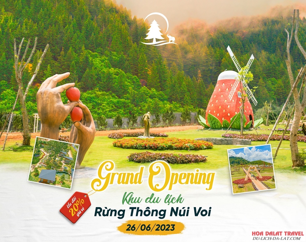Thông tin liên hệ Khu du lịch Rừng Thông Núi Voi