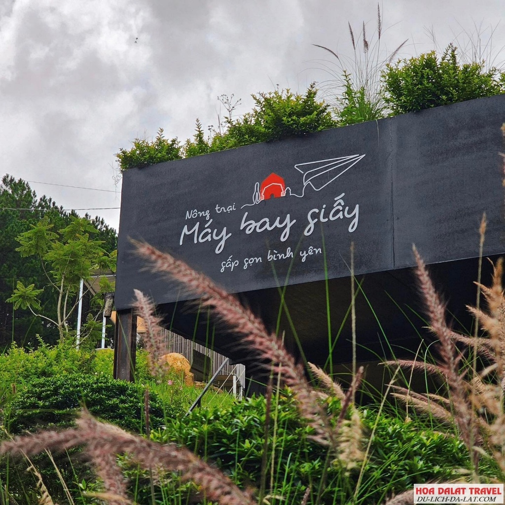 Vì sao nên đến trải nghiệm Nông trại Máy bay Giấy
