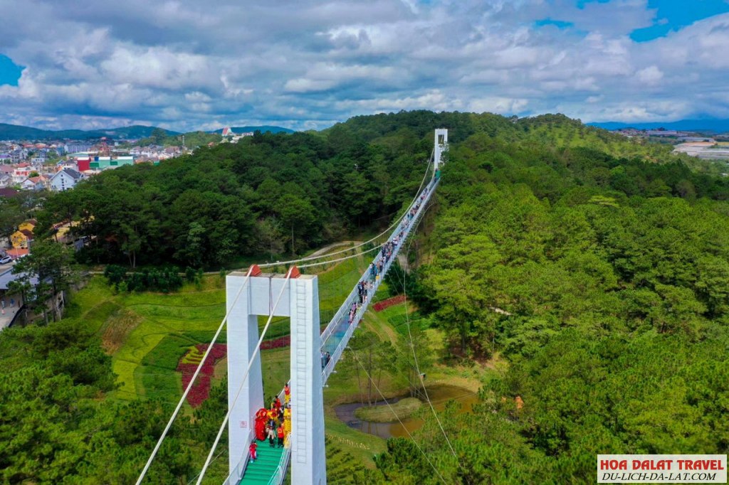cầu đáy kính đầu tiên ở Đà Lạt