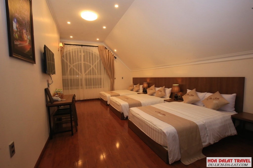 An Sơn Villa hotel