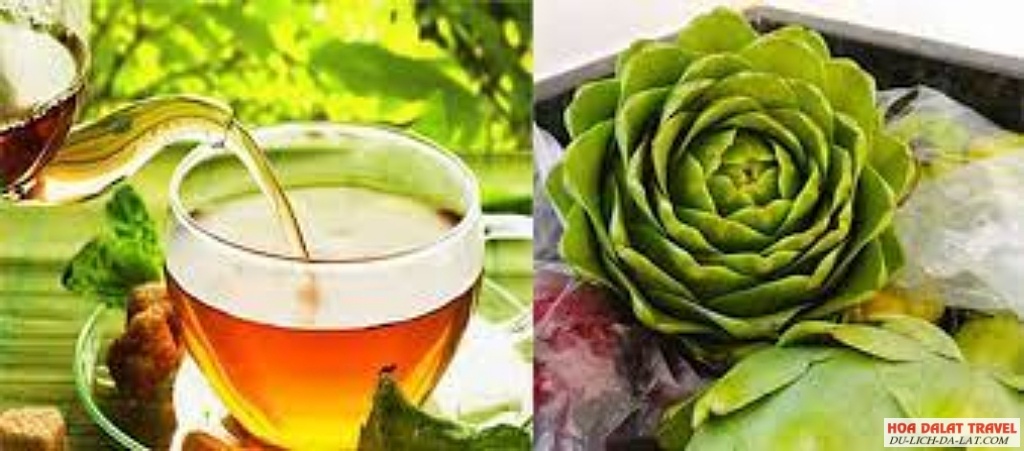 Atiso và trà atiso Đà Lạt