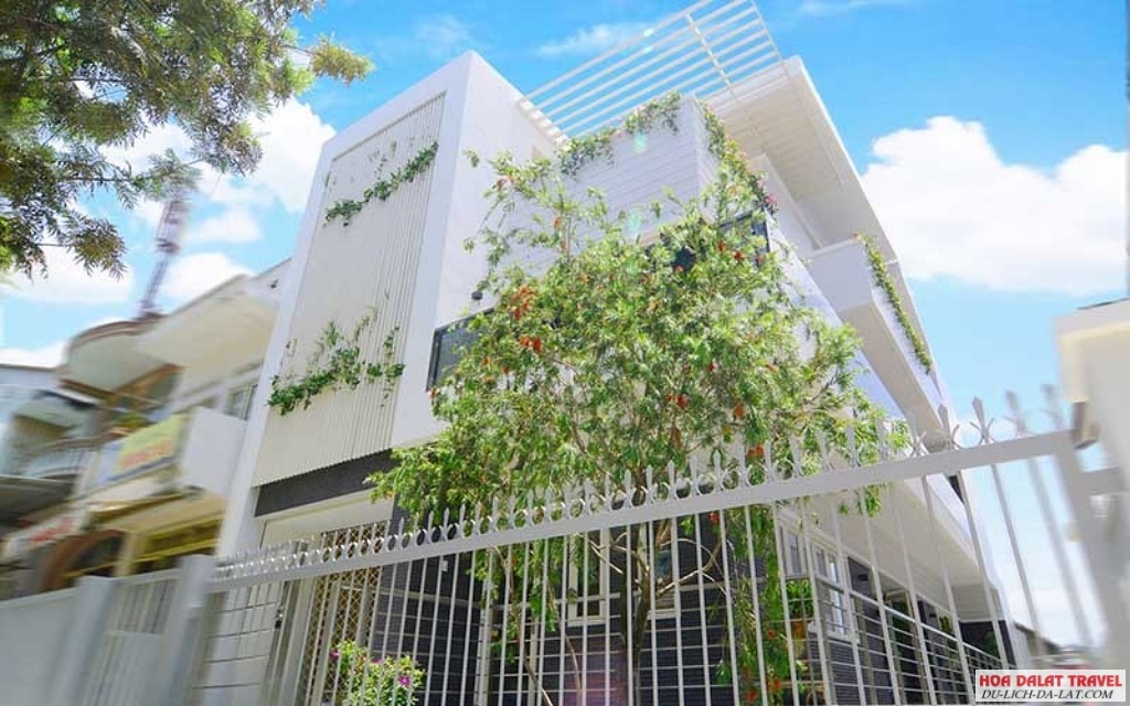 Biệt Thự Lê Hoàng