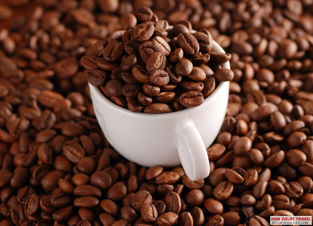 CÀ PHÊ MOKA