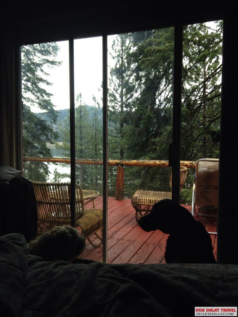 Cabin In The Woods