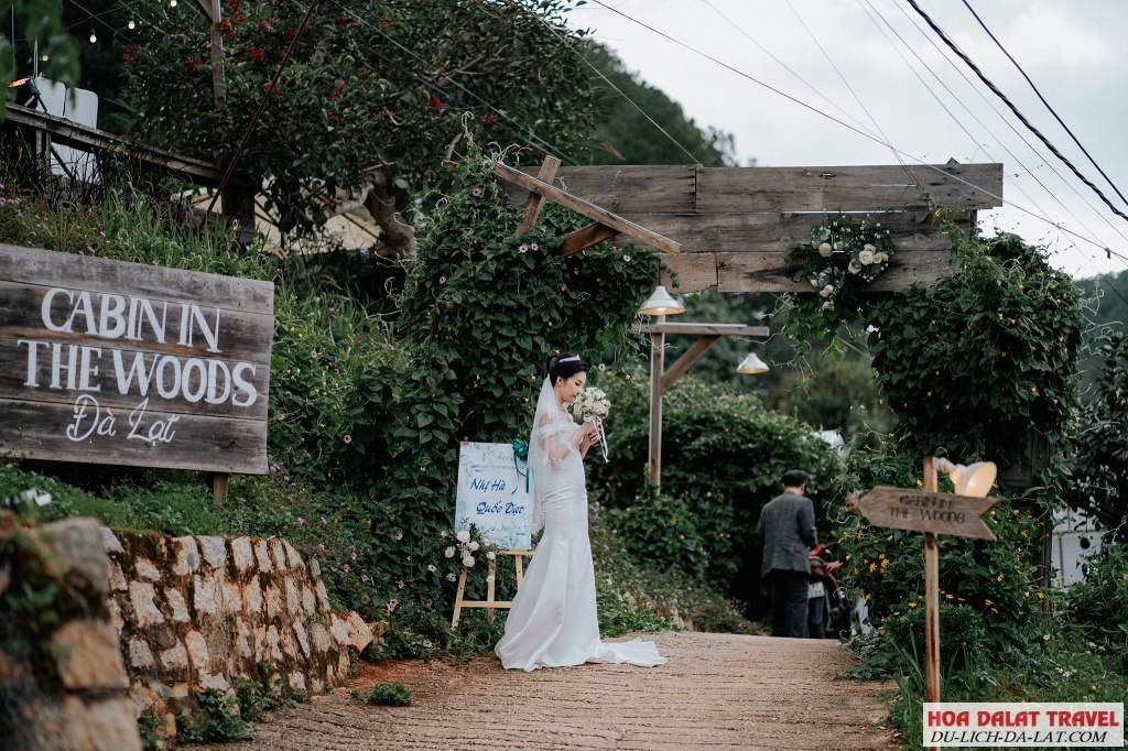 Cabin In The Woods Đà Lạt