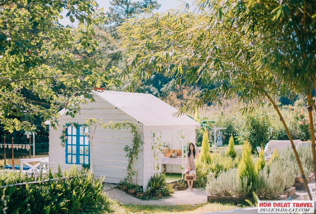 Check in Cafe Lỡ Đà Lạt