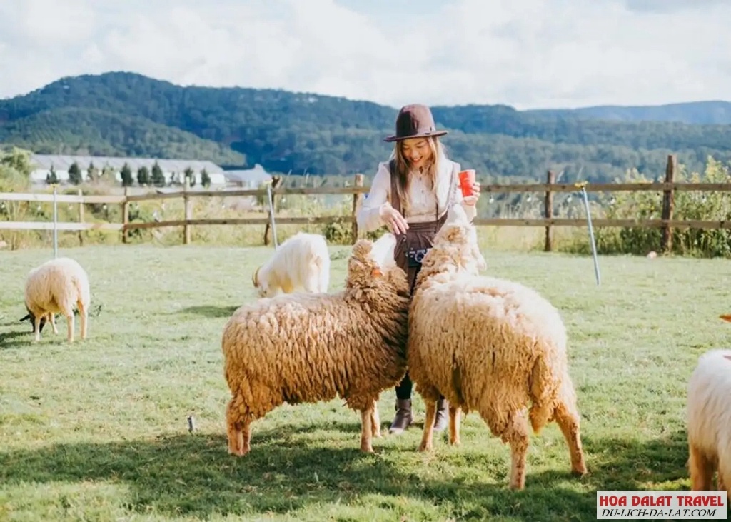 Chika Farm Đà Lạt