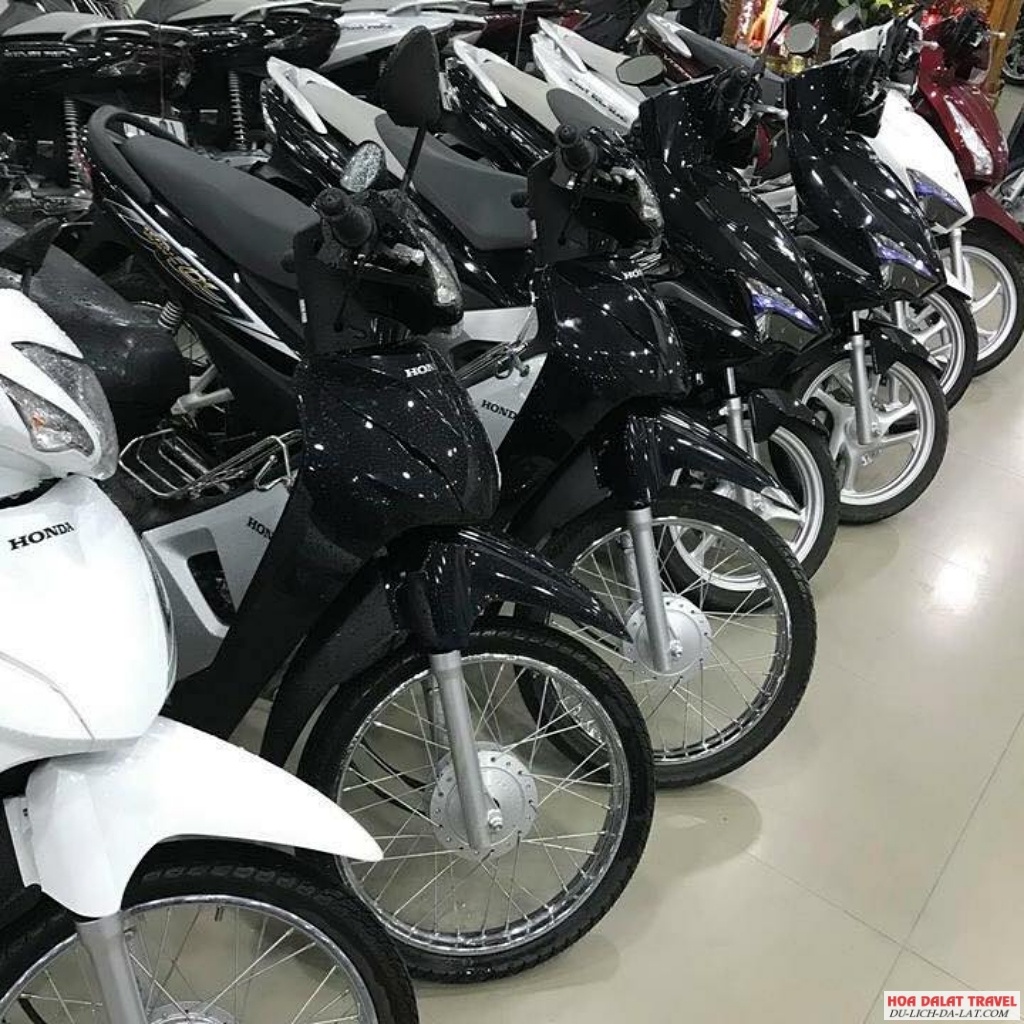 Cho thuê xe Anh Vũ