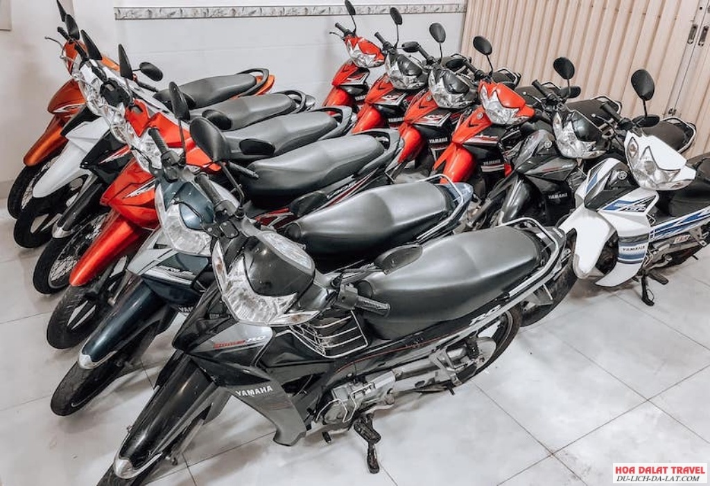 Cho thuê xe máy Chị Hà