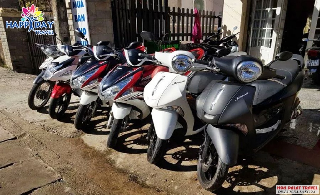Cho thuê xe máy Đà Lạt giá rẻ - Giao tận nơi