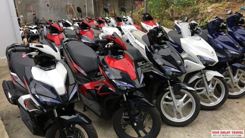 Cho thuê xe máy Tuấn Anh