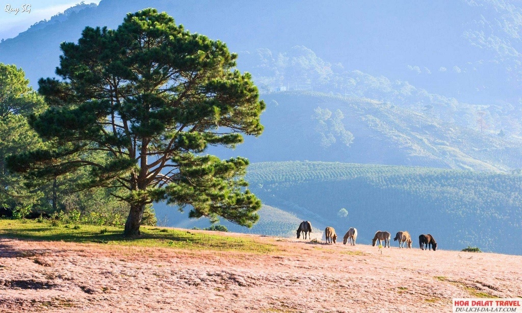 Chụp hình cùng background tựa trời Âu