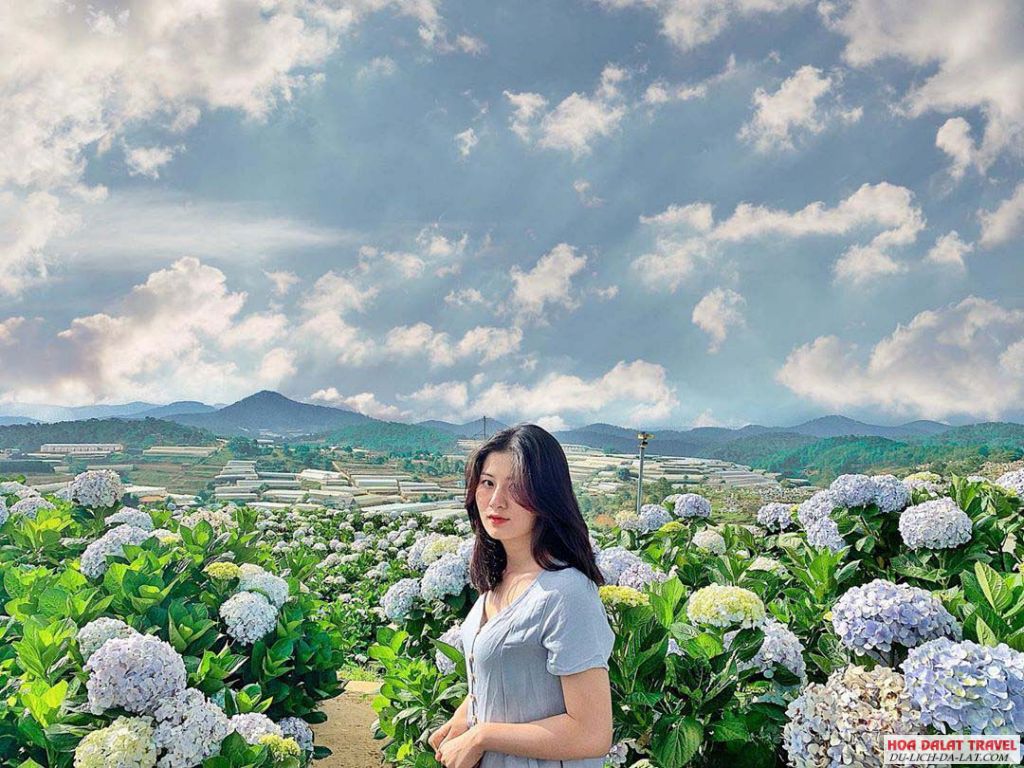 Đà Lạt vào mùa hè