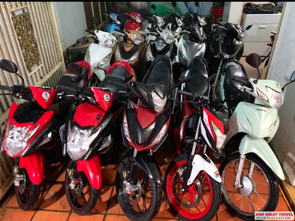 Đa dạng kiểu mẫu xe đời mới cho các bạn tha hồ chọn lựa