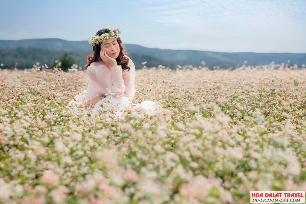 Đặc trưng thời tiết tháng 8