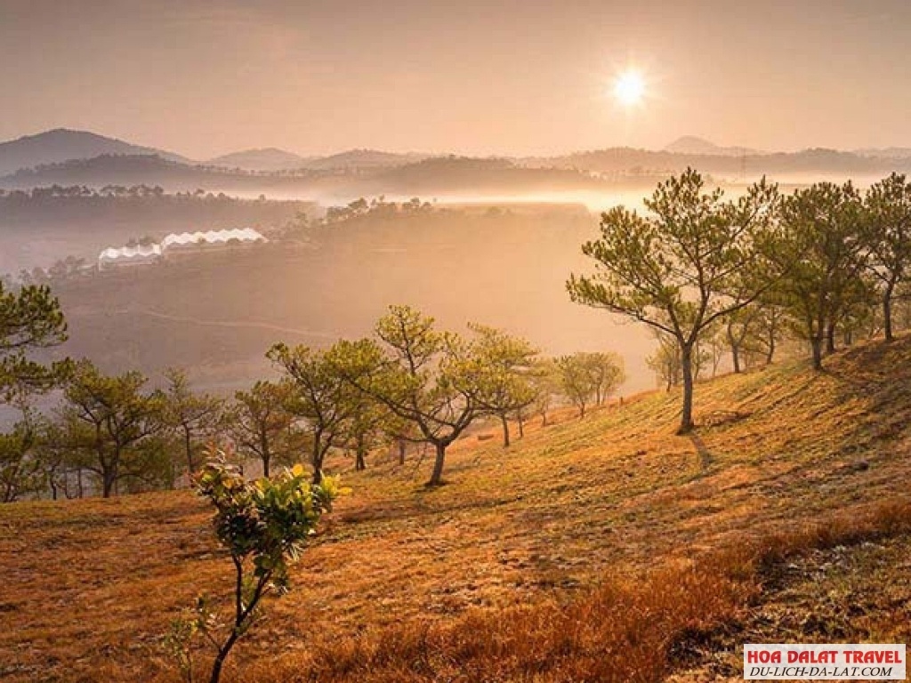 Đồi Thiên Phúc Đức - Ngắm Đà Lạt Huyền Ảo