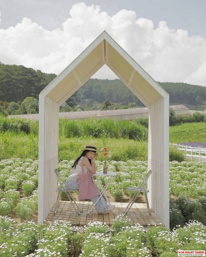 Hoa Mây Garden – khu vườn cổ tích mướt xanh