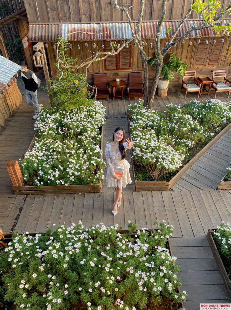 Hòa Mình Trong Vẻ Đẹp Đà Lạt ở Tiệm Cà Phê Bình Minh Ơi