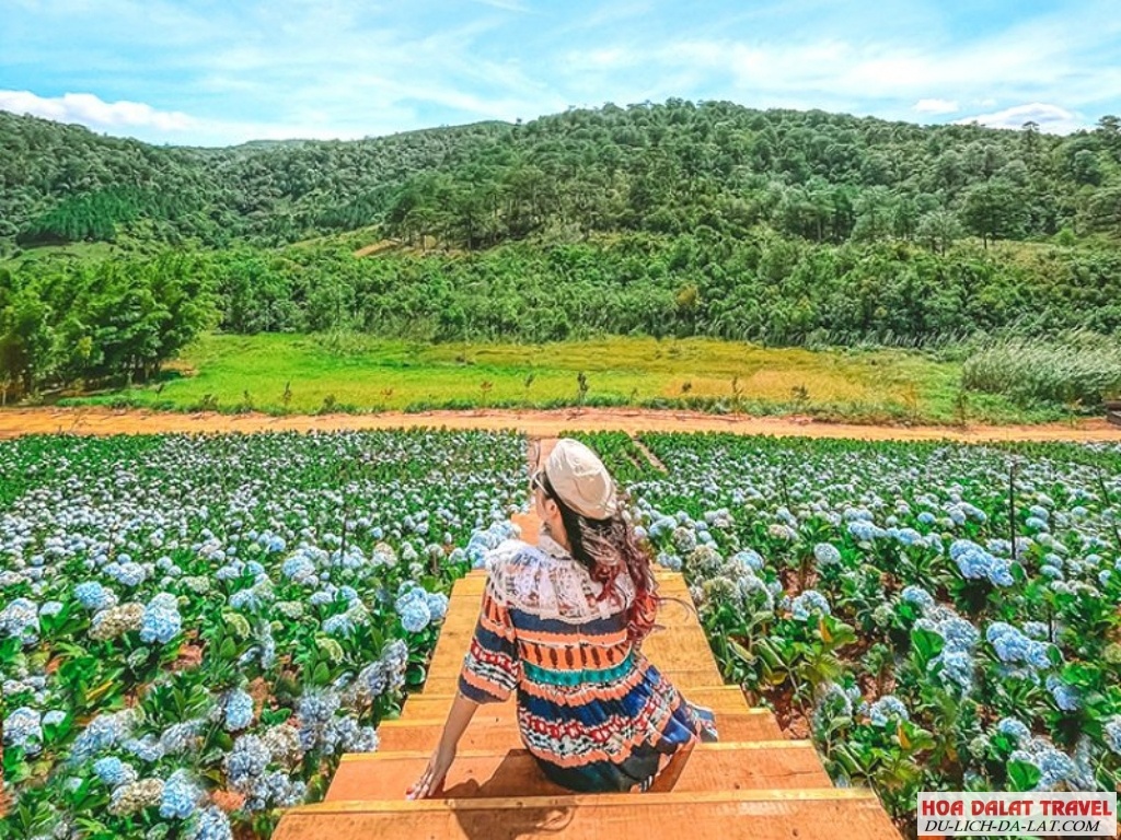 Hoa Trong Rừng