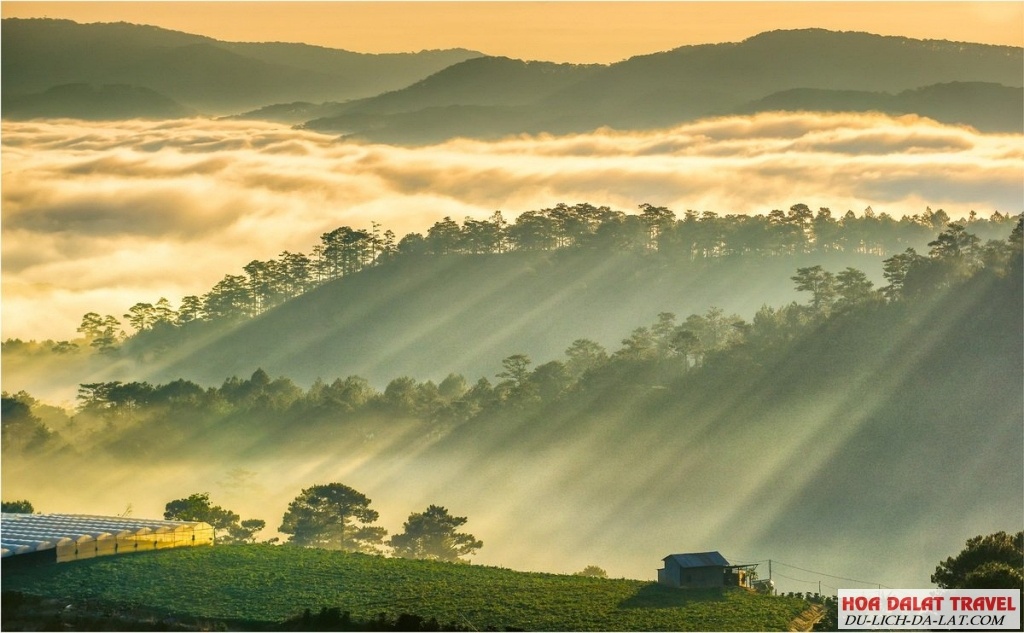 Khí hậu Đà Lạt mùa nào đẹp nhất