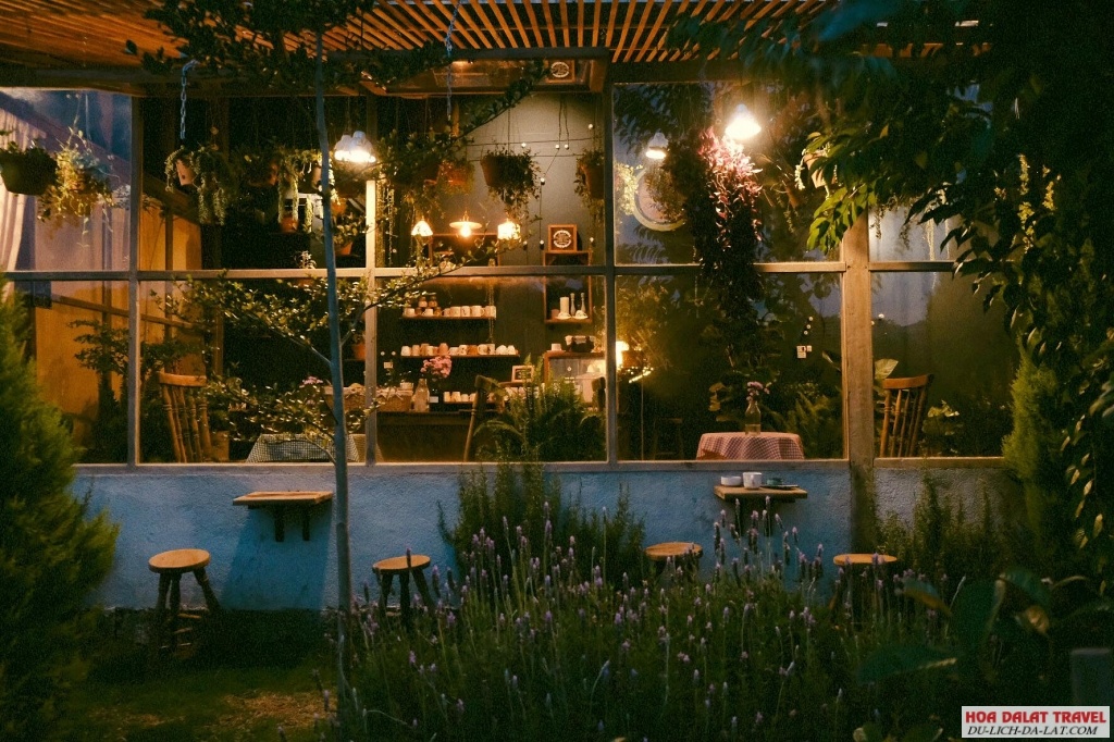 Khu vườn mùa hè Đà Lạt