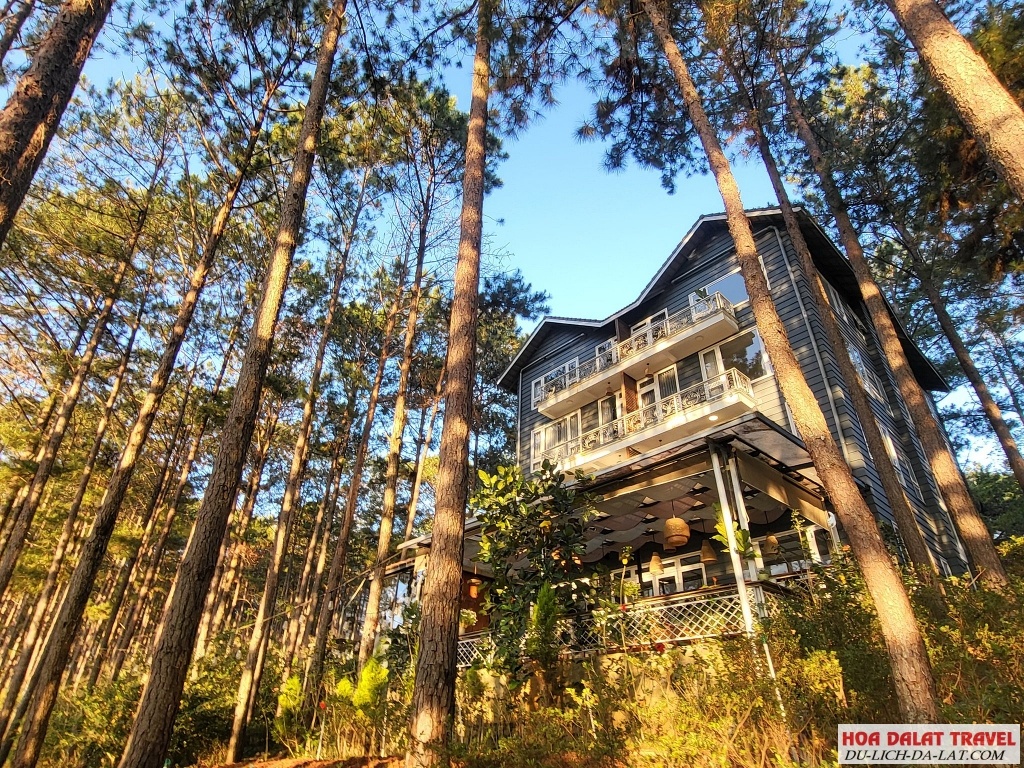 Lakeside Villa Dalat - phía sau