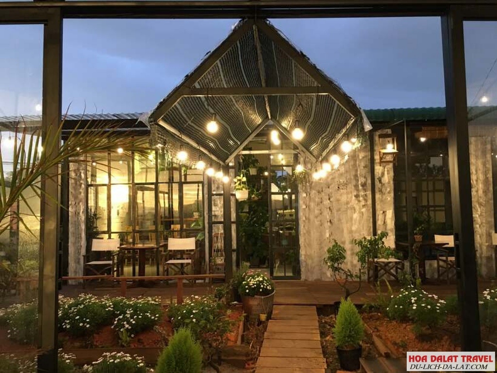 Lò Sấy Coffee Store