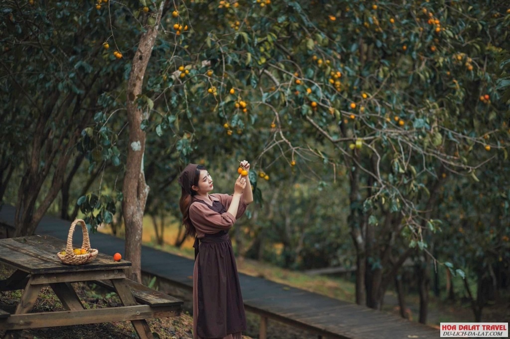 Lưu ý quan trọng khi tham quan vườn hồng