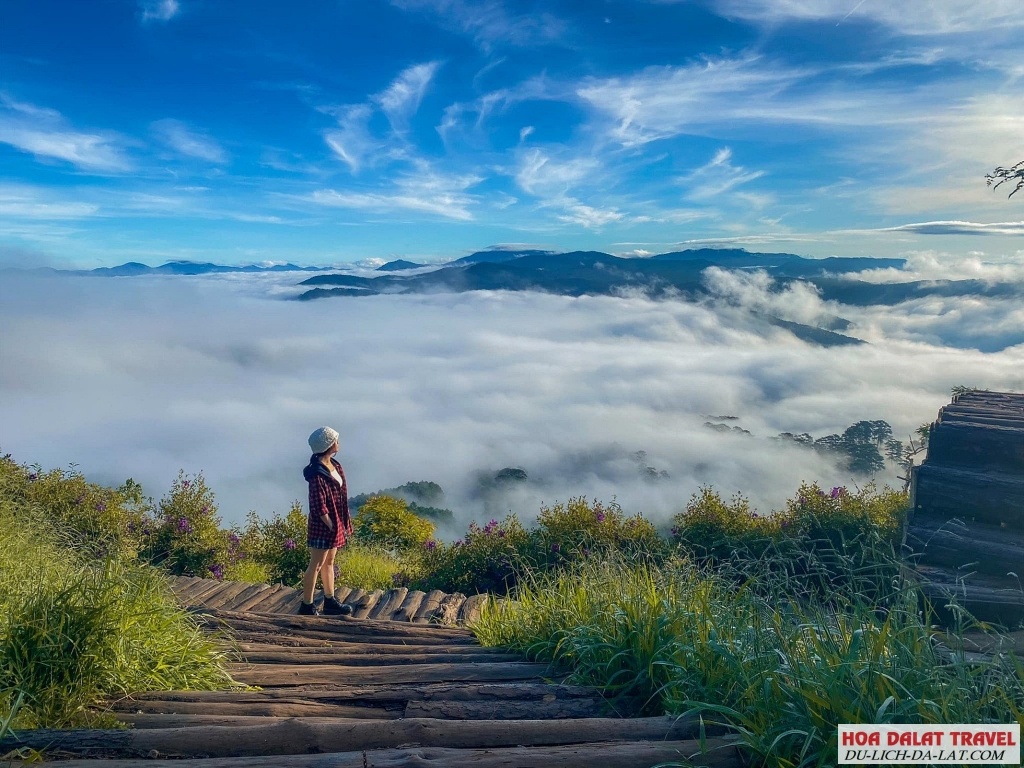 Mẹo nhỏ giúp bạn thích nghi với thời tiết Đà Lạt