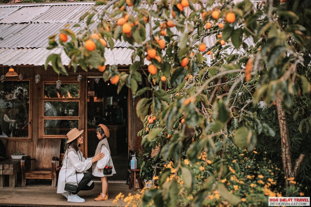 Một vài lưu ý khi than quan vườn hồng Đà Lạt
