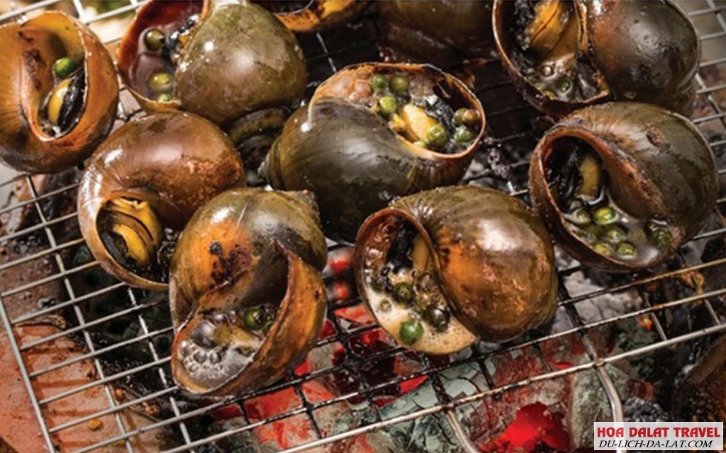Ốc chợ đêm