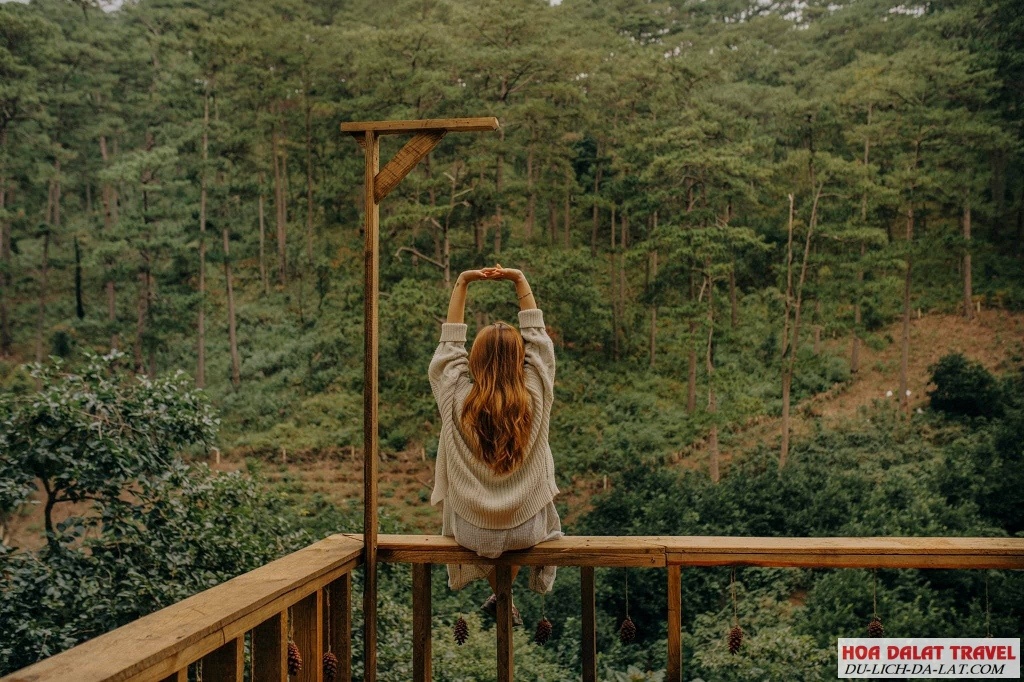 Quán cafe Đà Lạt view rừng