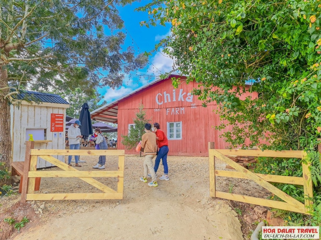Review nông trại cừu Chika Farm
