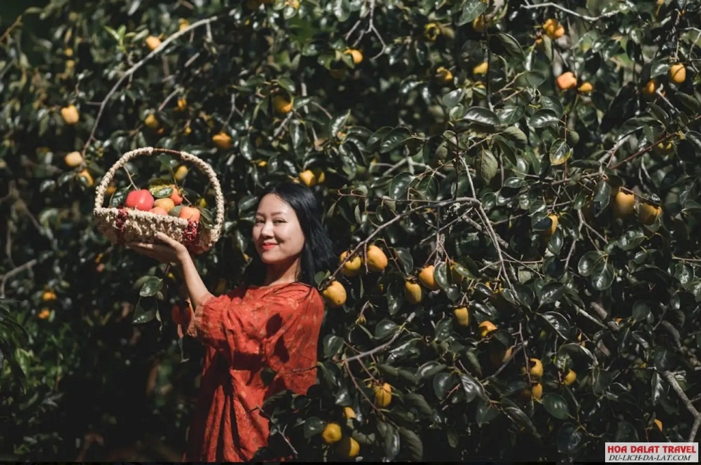 Thăm vườn hồng Thái Long