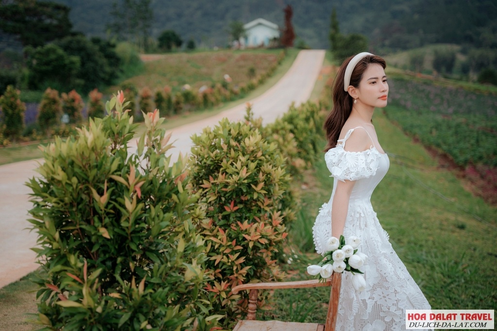 The Florest Đà Lạt