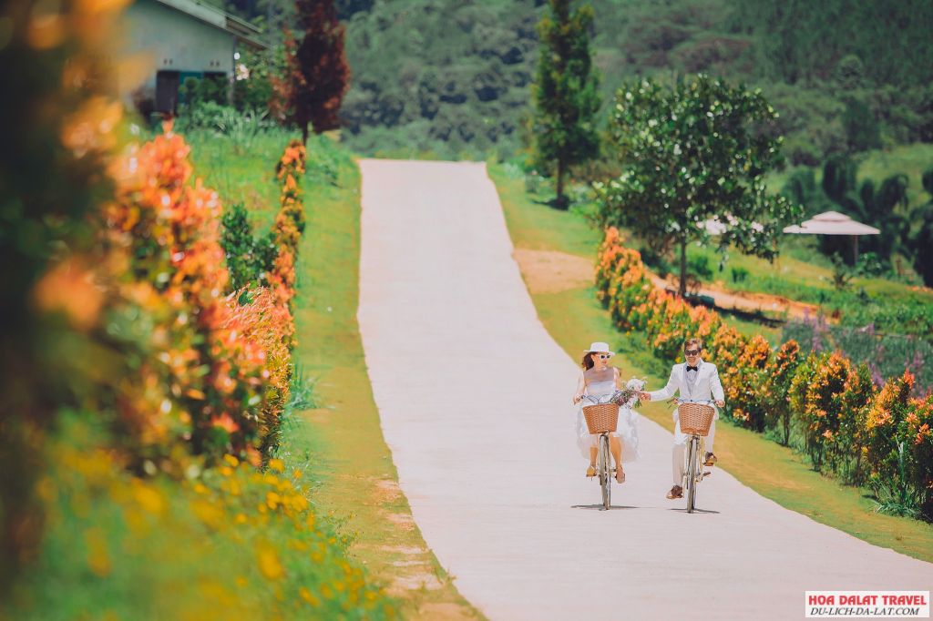The Florest - Hoa Trong Rừng Đà Lạt