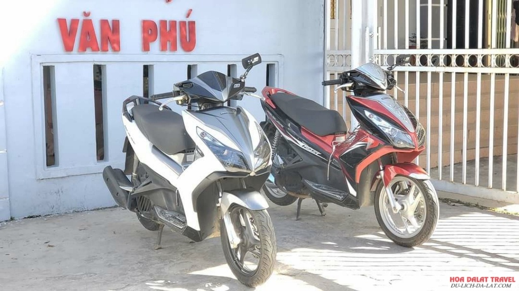 Thuê xe máy Đà Lạt - Bất Động Sản Đà Lạt