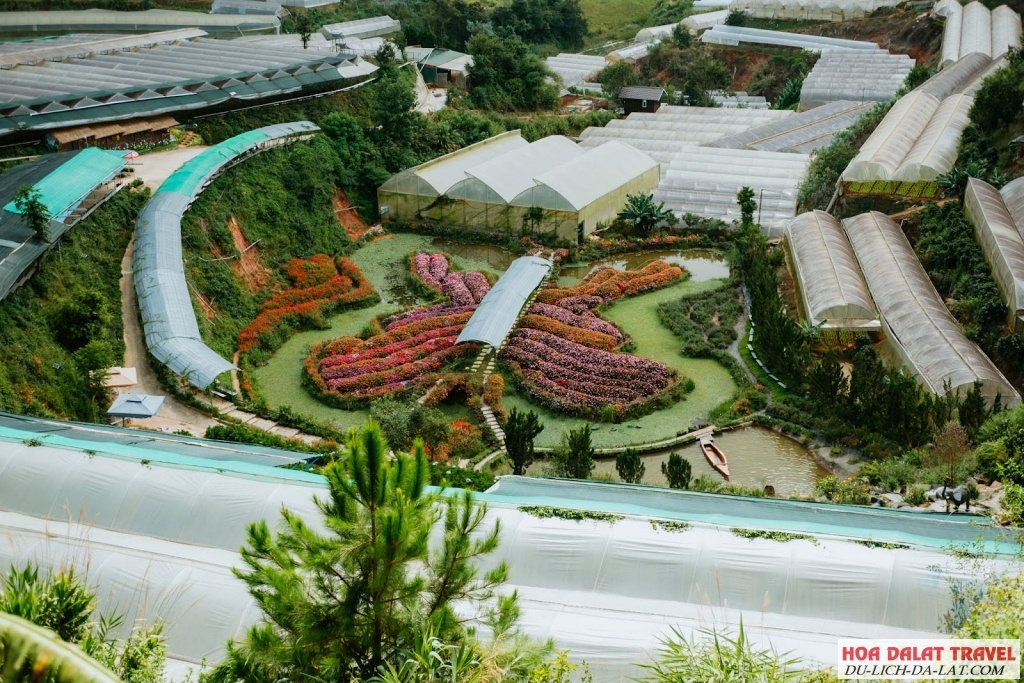 Thung Lũng Hồng Đà Lạt