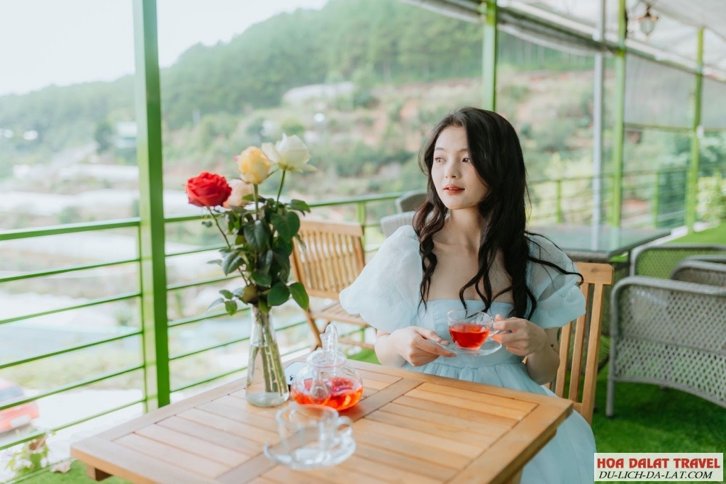 Thung Lũng Hồng - Điểm check in cực xịn