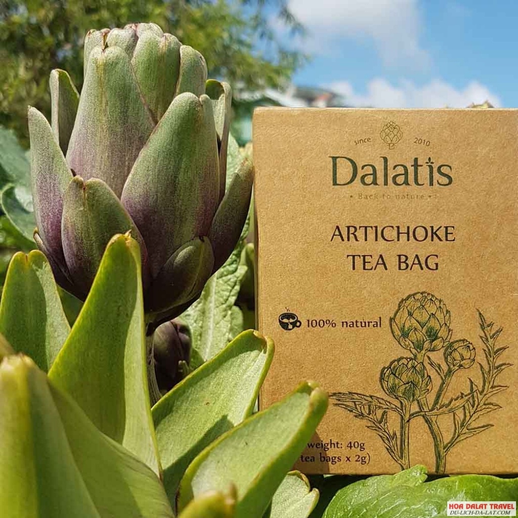Trà atiso túi lọc tại Công ty Cổ phần Dalat Farm