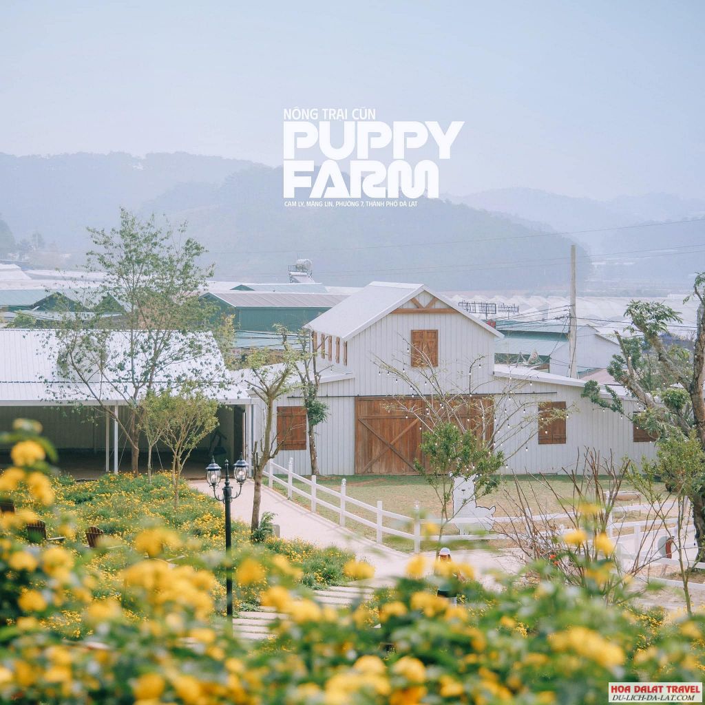 Trang Trại Cún Puppy Farm ở Đà Lạt