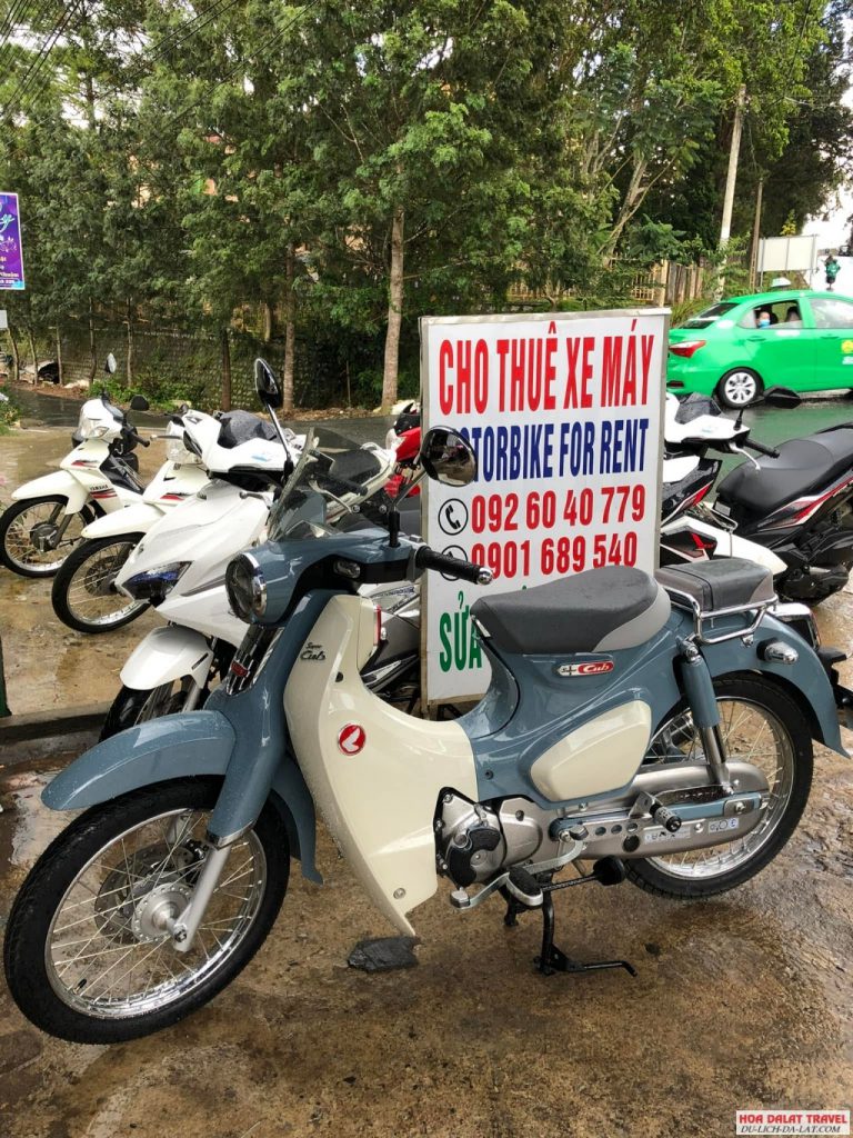 Tuấn Anh - Đại Lý Cho Thuê Xe Máy ở Phường 5
