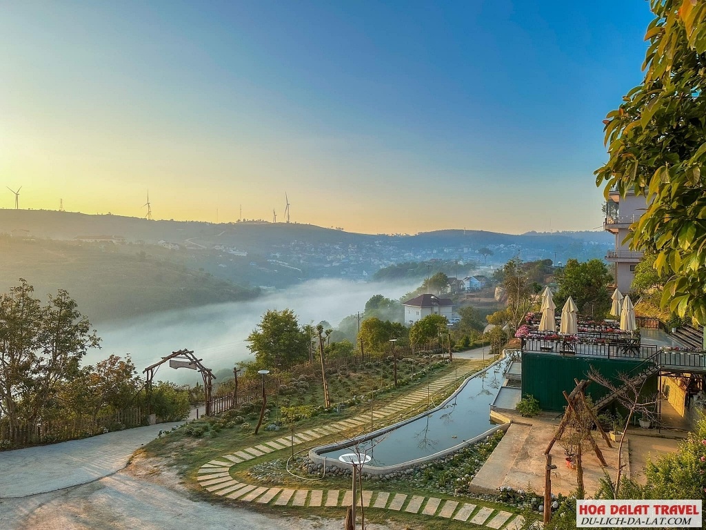 View Mộc Trà Farm