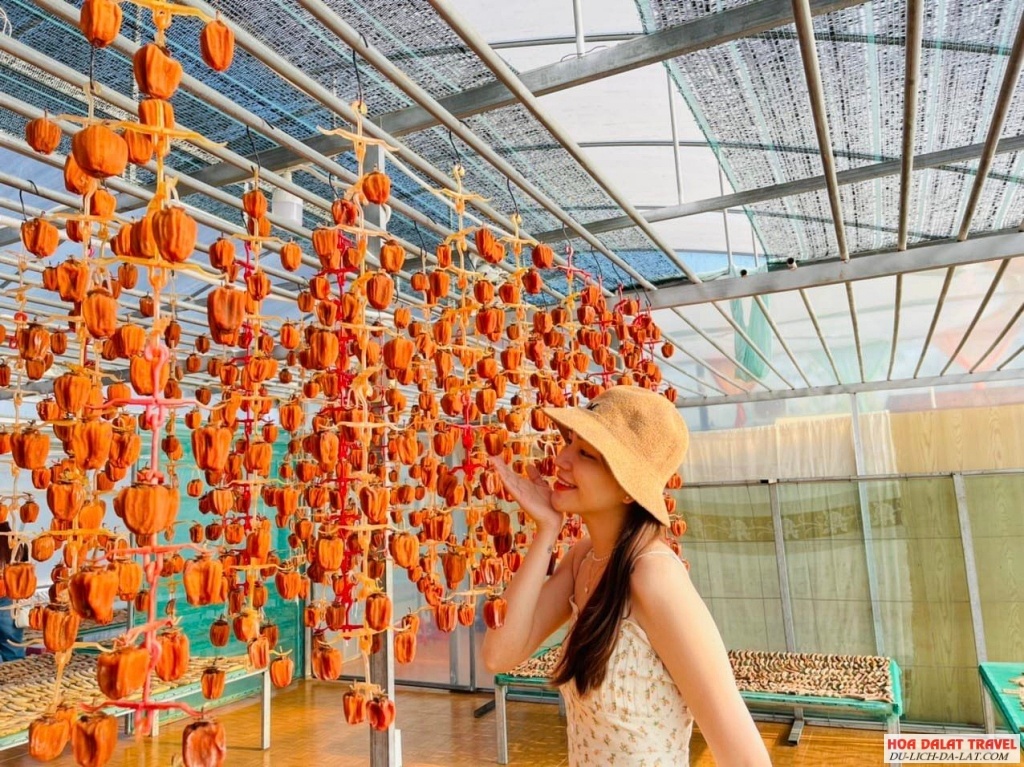 Vườn Hồng ÔNG THẮNG FARM