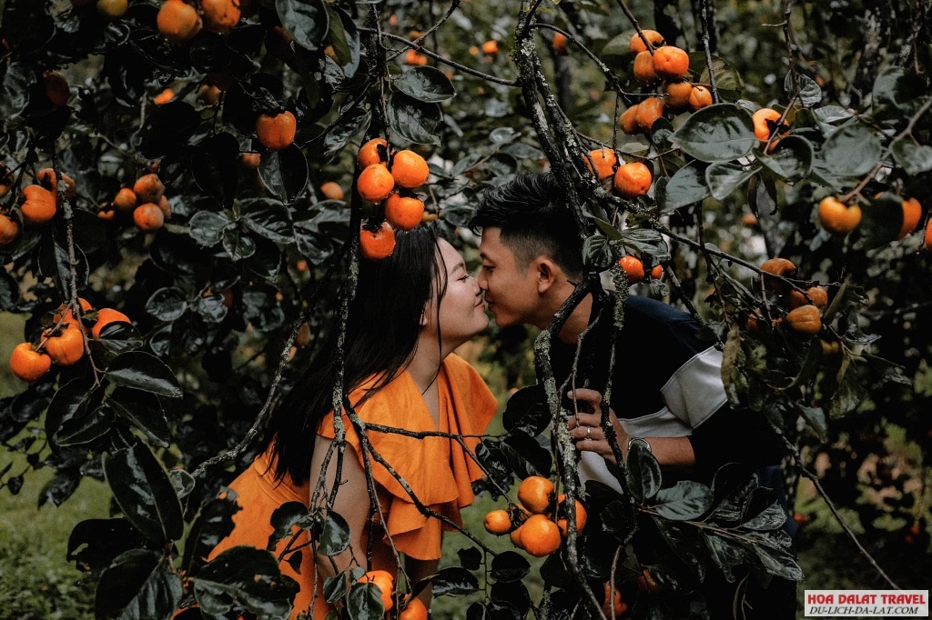 Vườn hồng Lễ Vân